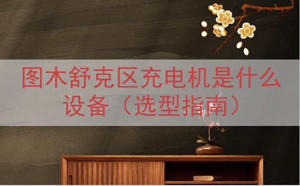 图木舒克区充电机是什么设备（选型指南）